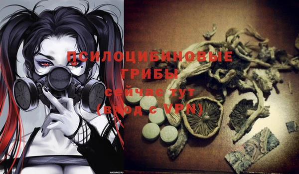 стафф Горно-Алтайск