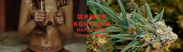 метадон Горняк