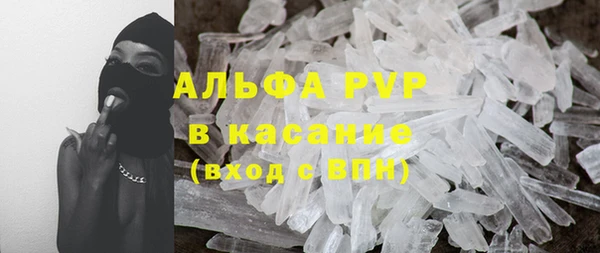spice Гусев