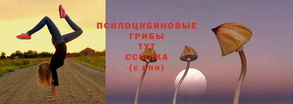 метадон Горняк