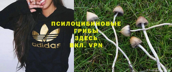 метадон Горняк
