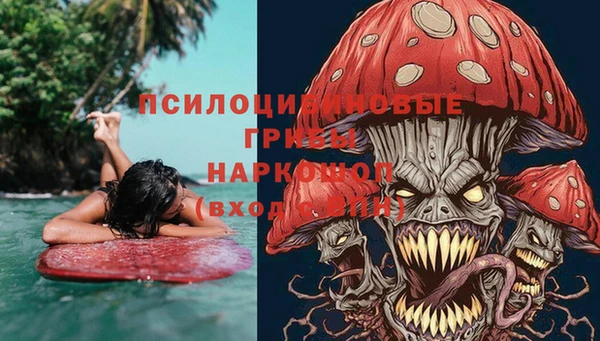 стафф Горно-Алтайск